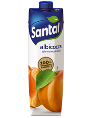 Santal Apricot 1 L